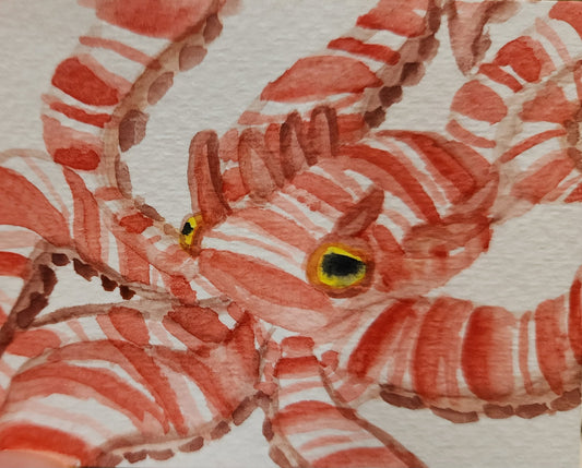 Mini Mimic Octopus